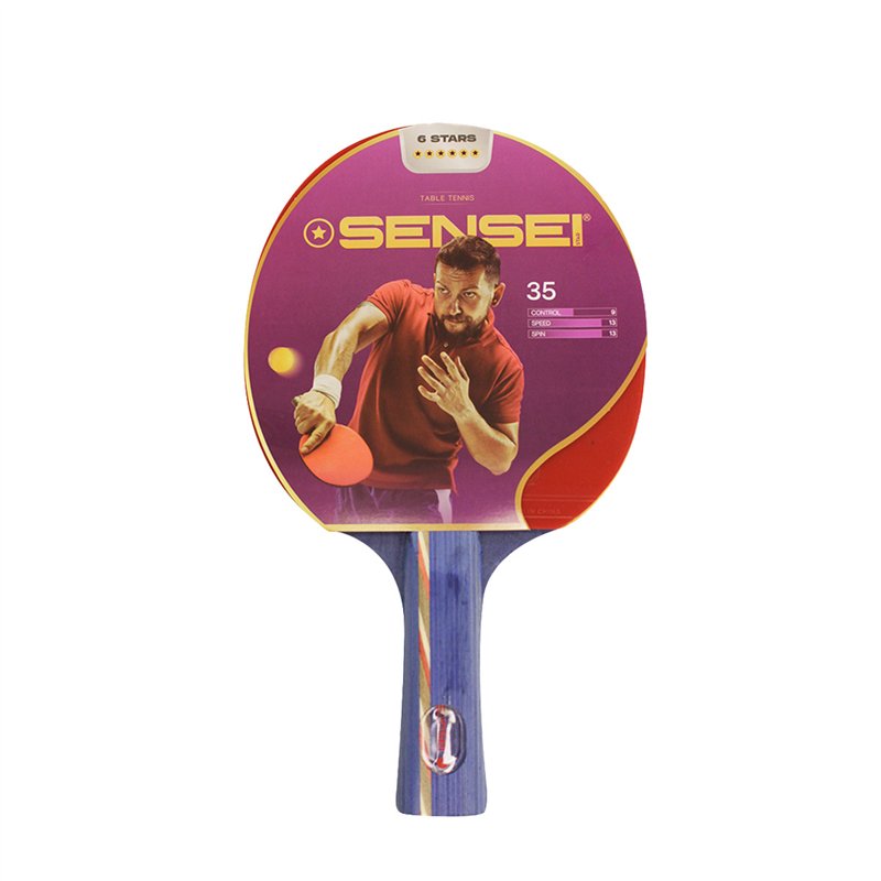 Paleta PingPong Sensei Sc 6 estrellas