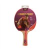 Paleta Sensei Ping Pong 2 Estrellas
