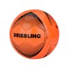 Pelota DRB PRIME Nº5