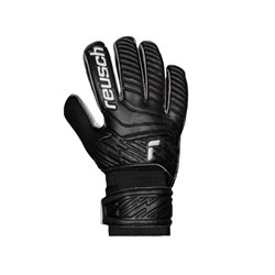 Guante Arquero Reusch STORM INFINITY SEMIPROF